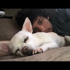 Meet your Posher, Brandon